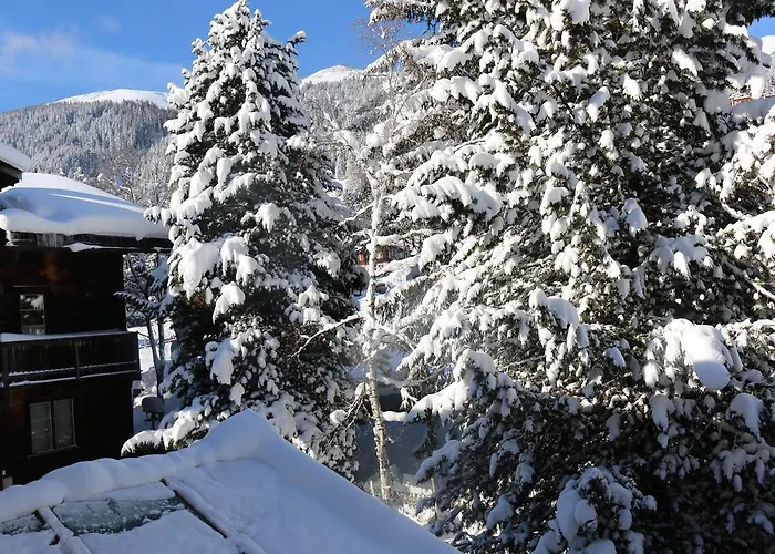 Apartment Haus Pyrola *