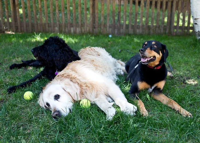 Apartment Haus Pyrola *